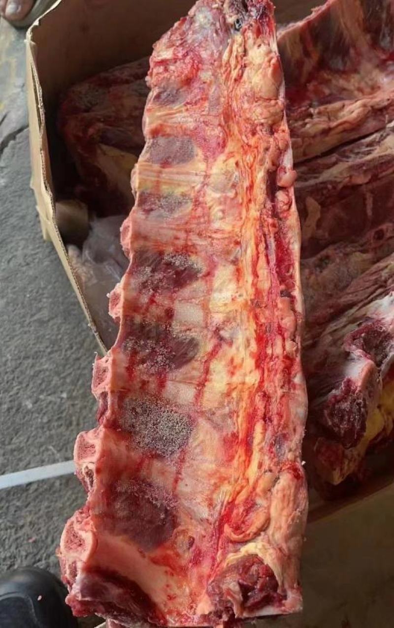 满肉肉牛脊骨