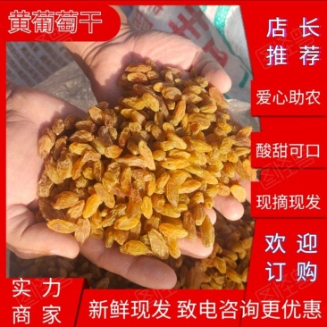 新疆葡萄干绿宝石葡萄干树上黄葡萄干全国发货