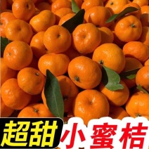 精品蜜橘柑桔柑橘蜜桔24小时在线欢迎咨询订购。