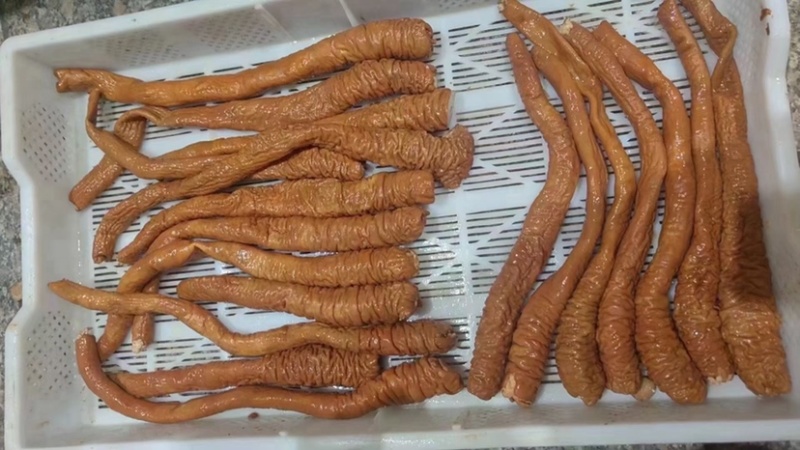 肥肠全熟卤肥肠头鲜货卤制干净无油现货批发