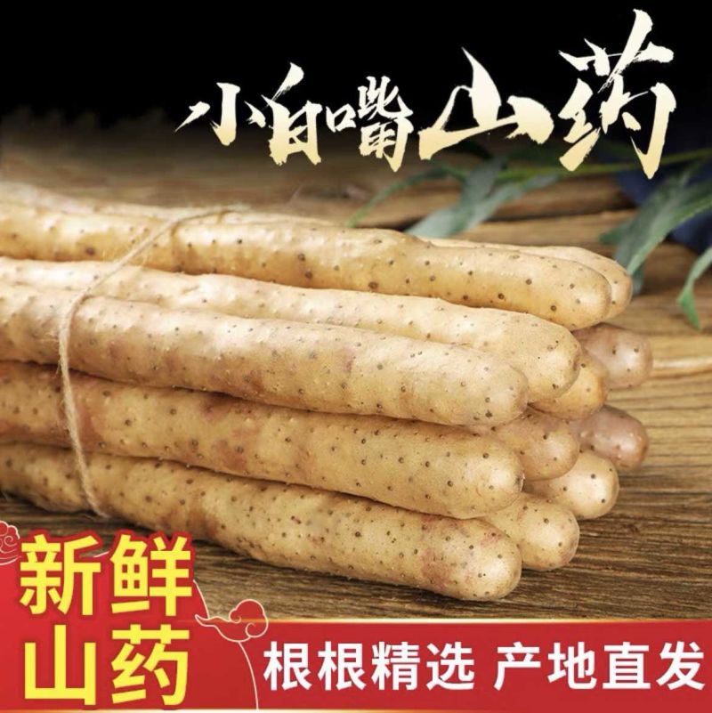 河北山药特产小白嘴白山药铁棍山药淮山药网袋山药各种规格