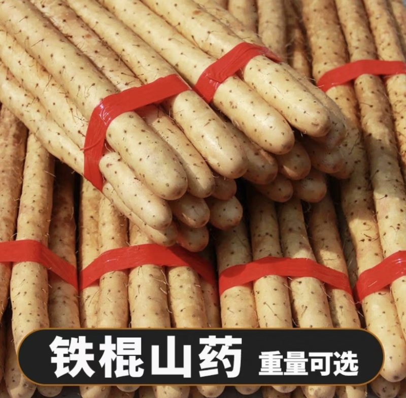 河北山药特产小白嘴白山药铁棍山药淮山药网袋山药各种规格