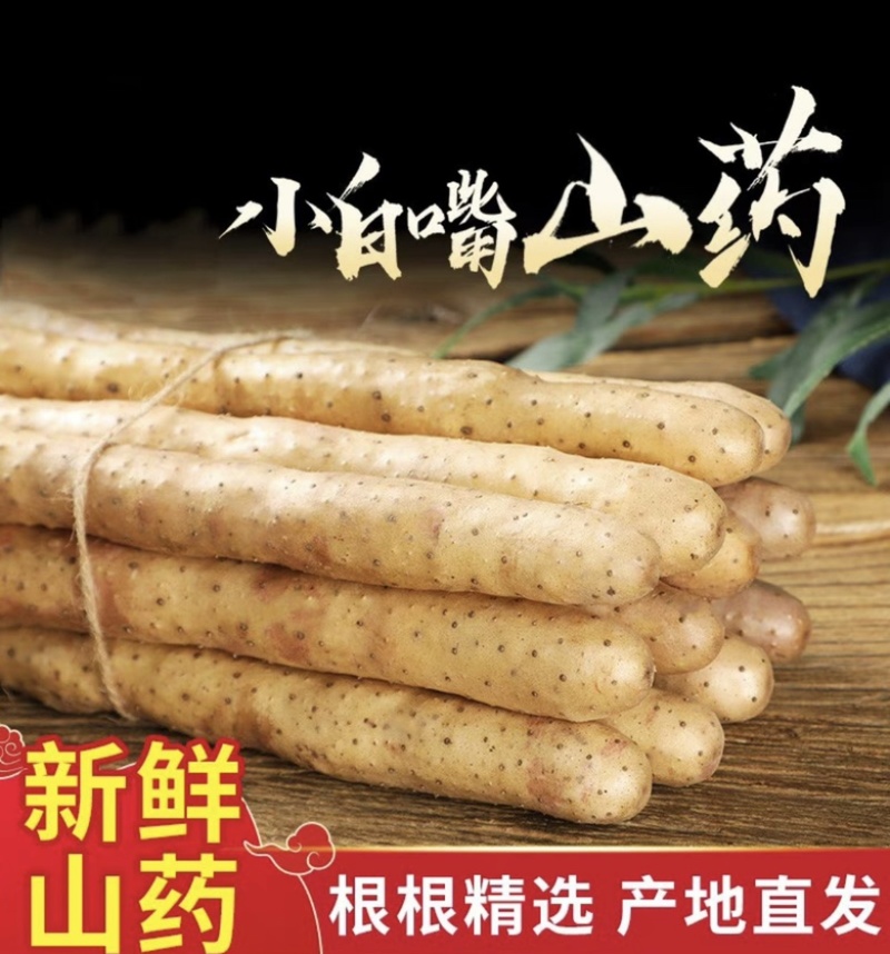 河北山药特产小白嘴白山药铁棍山药淮山药网袋山药各种规格