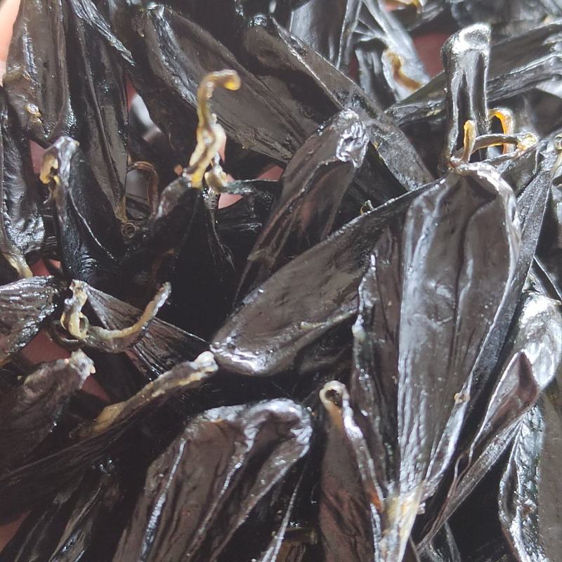 优质干蛇胆，优质眼镜蛇胆