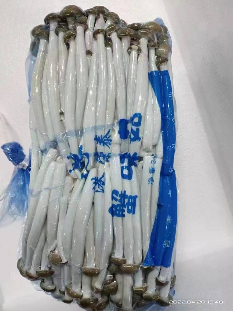 蟹味菇A+