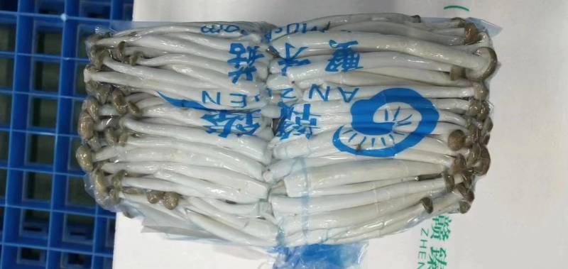 蟹味菇A+