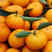 常德澧县蜜橘，产地直发，质量保证欢迎采购，诚信为本