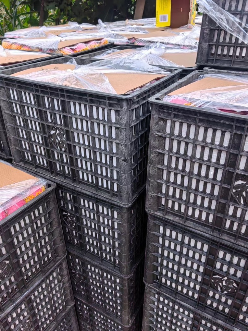 陕西宝鸡精品通货高次苹果批发