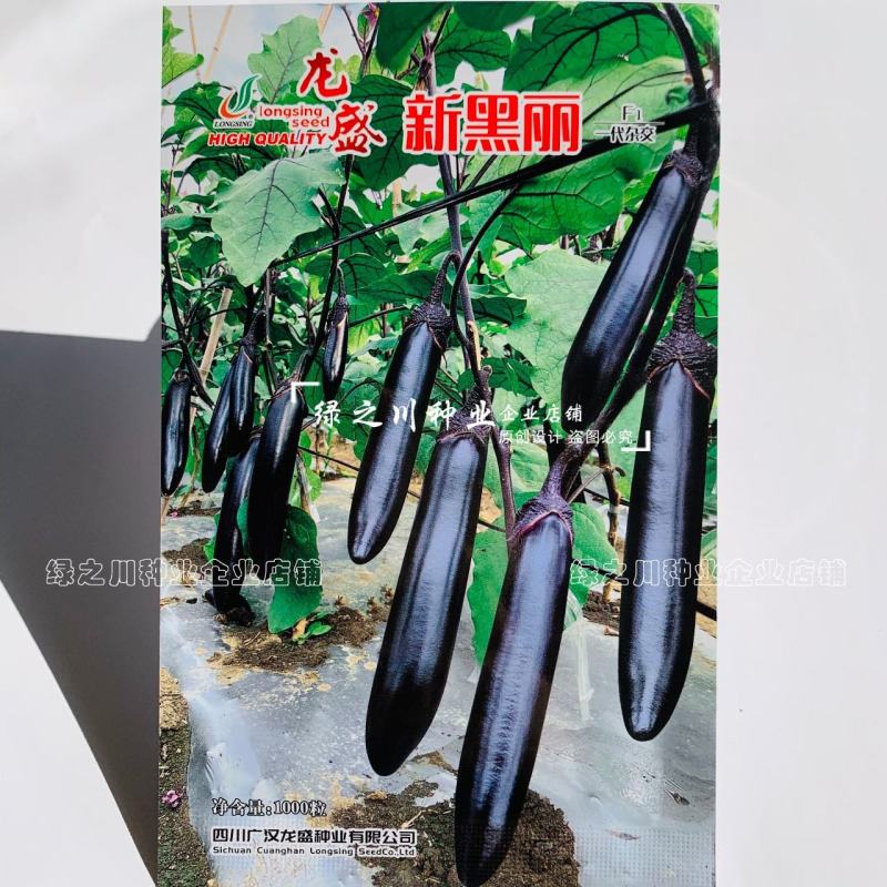 新品种长茄种子龙盛新黑丽油黑长条型茄子种子长棒顺直