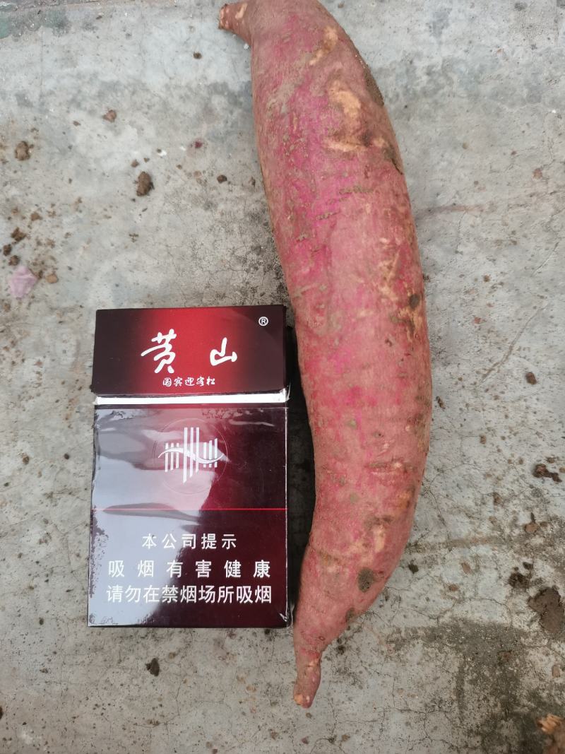 西瓜红大量供应，产地直发可封箱装袋，对接各地电商平台
