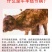 普旺厂家牛羊结节消痘疮疙瘩羊痘口蹄孕畜可用