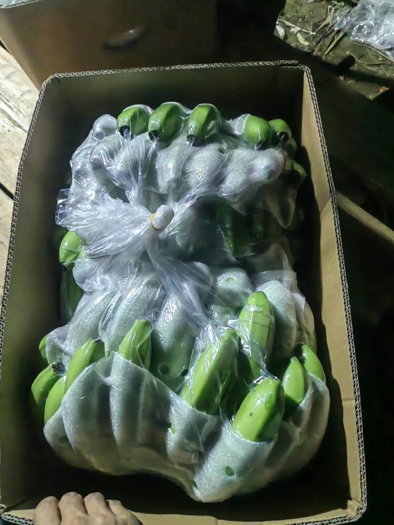 香蕉