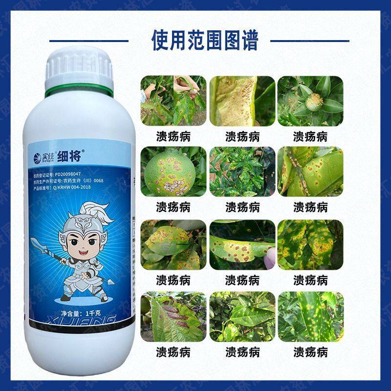 实佳细将30%王铜杀菌药悬浮剂农药柑橘树溃疡病细菌性病