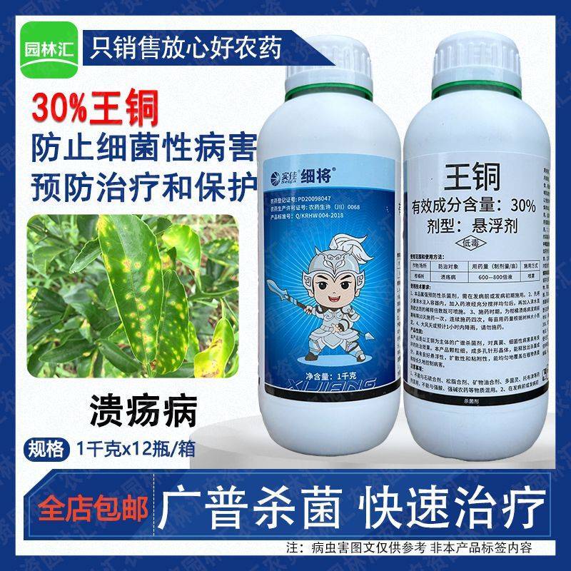实佳细将30%王铜杀菌药悬浮剂农药柑橘树溃疡病细菌性病