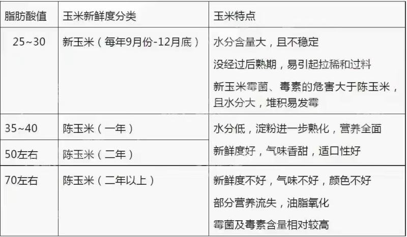 力顿
