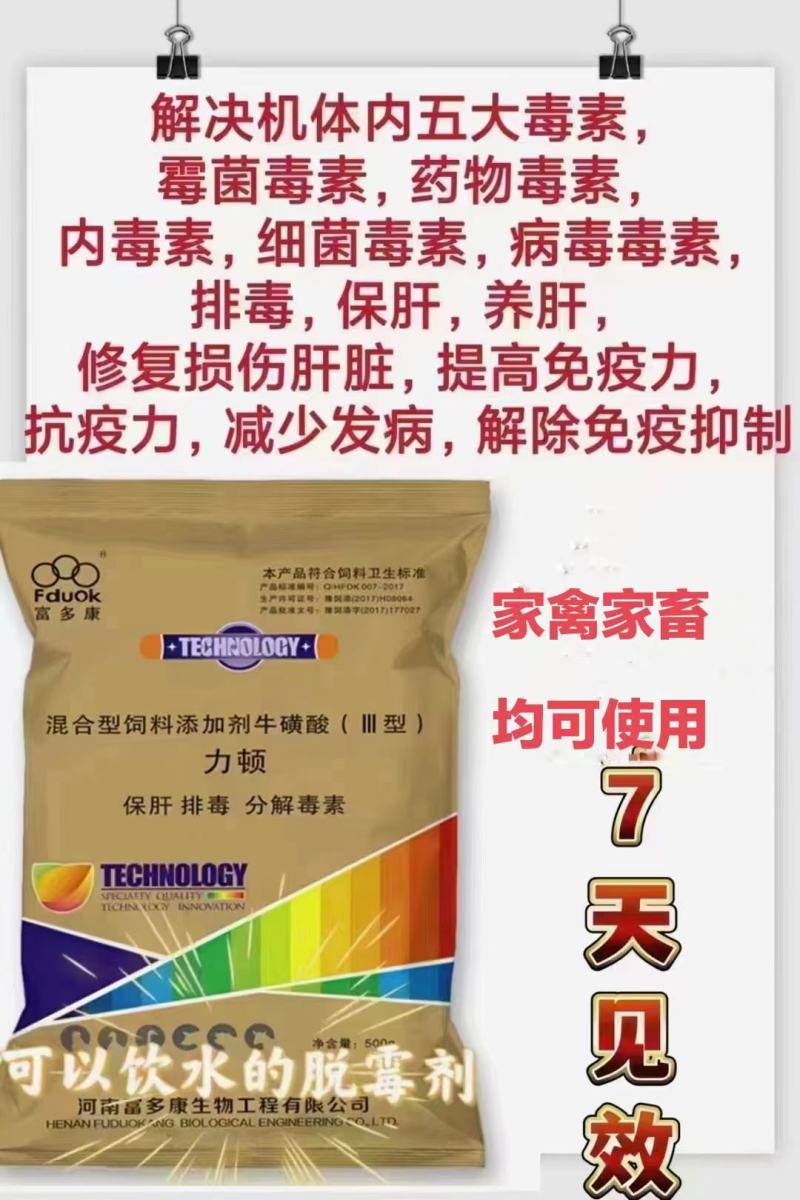 力顿