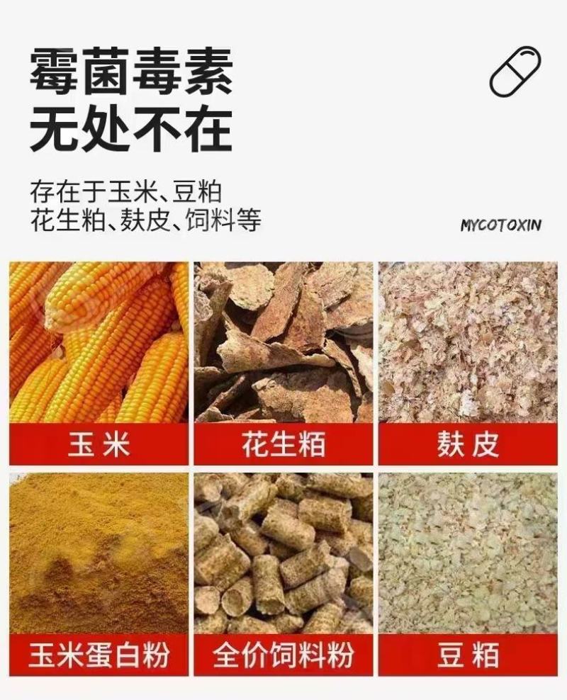 力顿