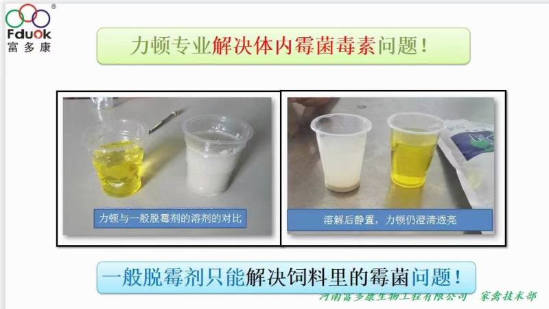 力顿