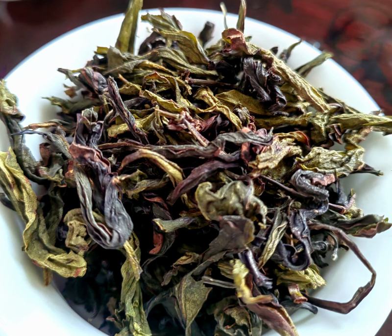 高山茶叶浓香型惠来高山土山茶春茶潮汕土山茶清香型乌龙茶茶