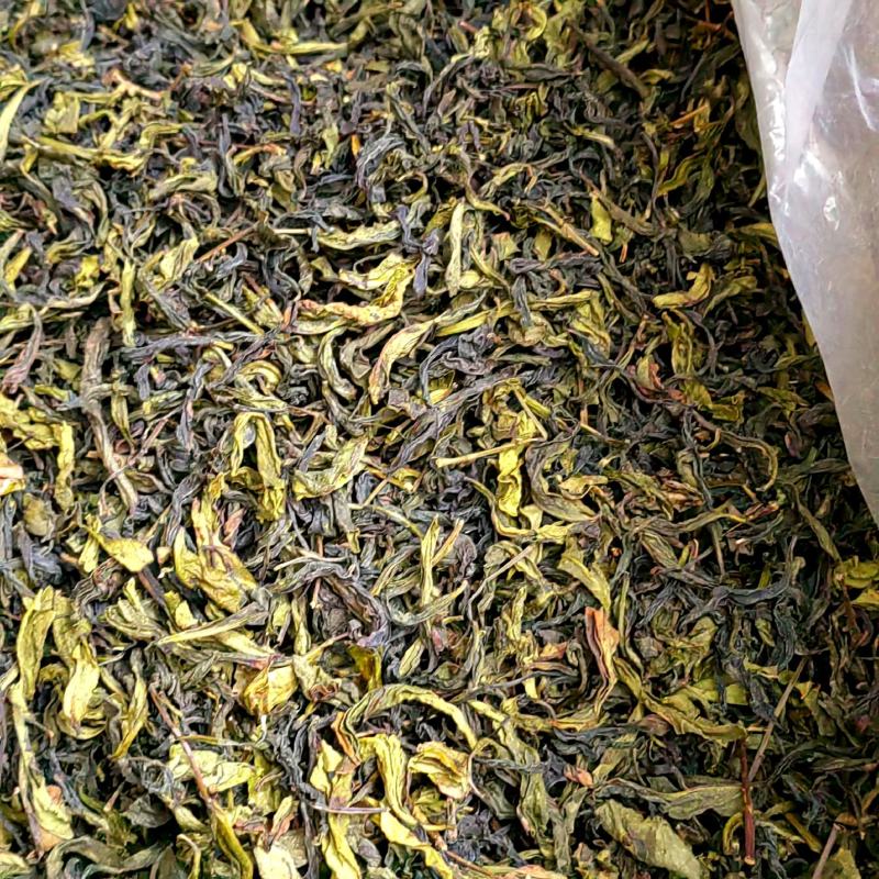 高山茶叶浓香型惠来高山土山茶春茶潮汕土山茶清香型乌龙茶茶