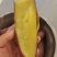 红薯红瑶红薯红薯界里的天花板，软糯香甜，回头客爆棚