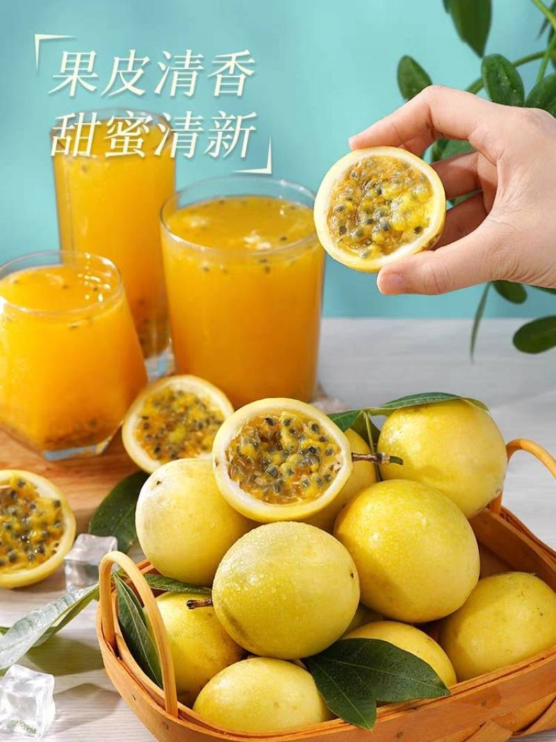 钦蜜9号百香果树果苗纯甜黄金树苗庭院盆栽种植当年结果带土