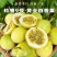 钦蜜9号百香果树果苗纯甜黄金树苗庭院盆栽种植当年结果带土