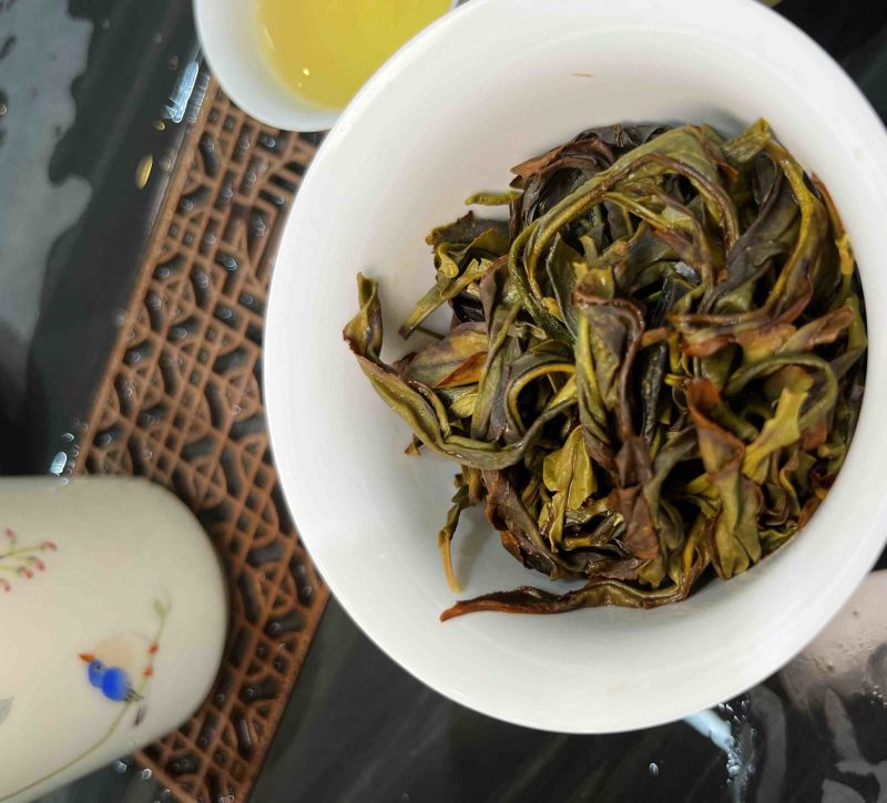 自家种植半生态凤凰单丛茶