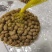 安阳内黄精品山药豆产地一手货源价格不高欢迎来电