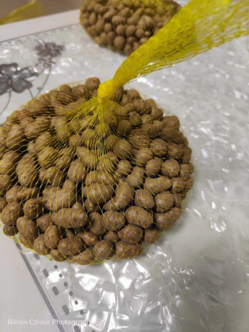 安阳内黄精品山药豆产地一手货源价格不高欢迎来电