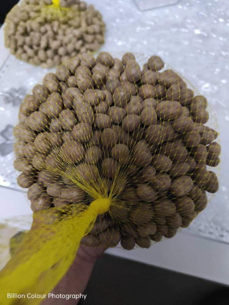 安阳内黄精品山药豆产地一手货源价格不高欢迎来电