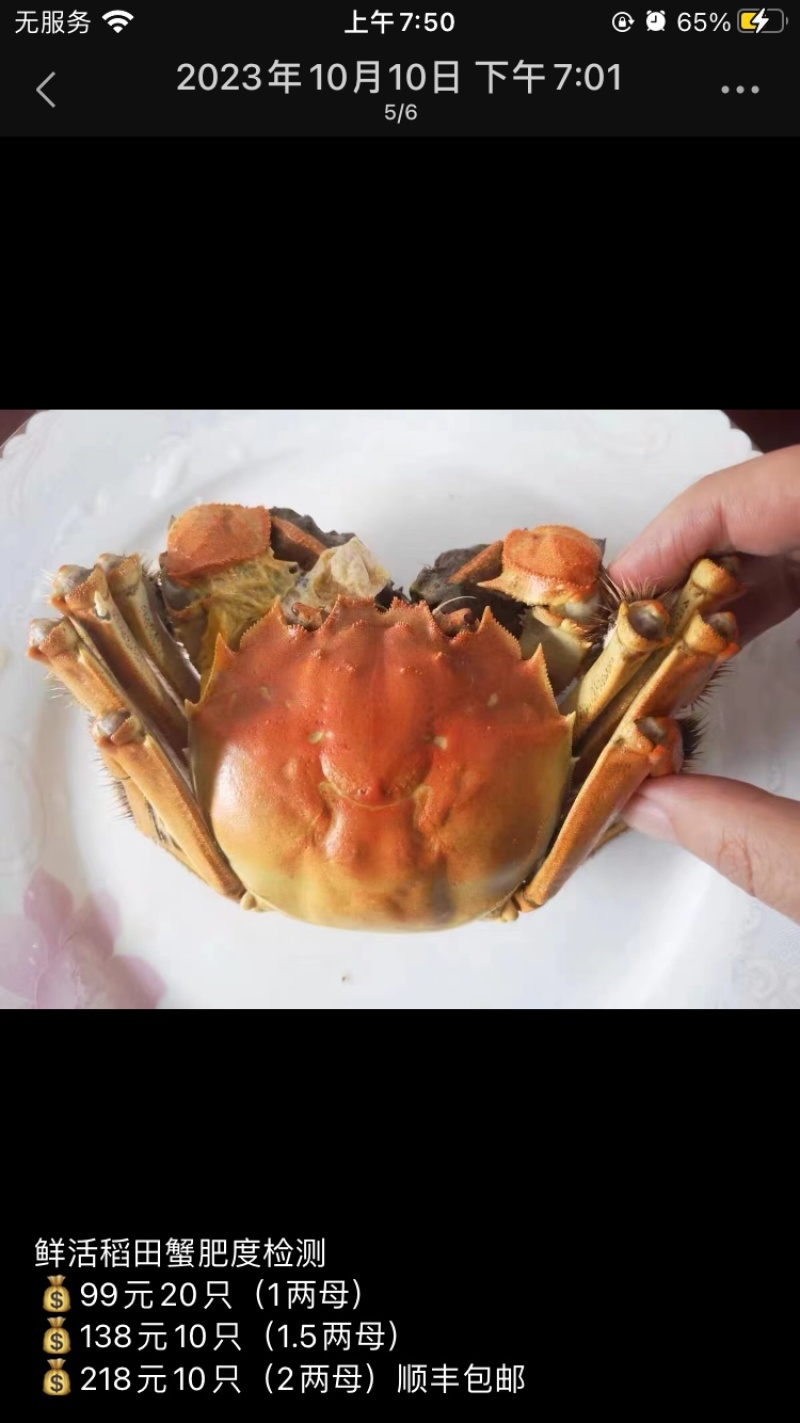 大闸蟹鲜活大闸蟹，批发零售，饭店餐饮长期供应