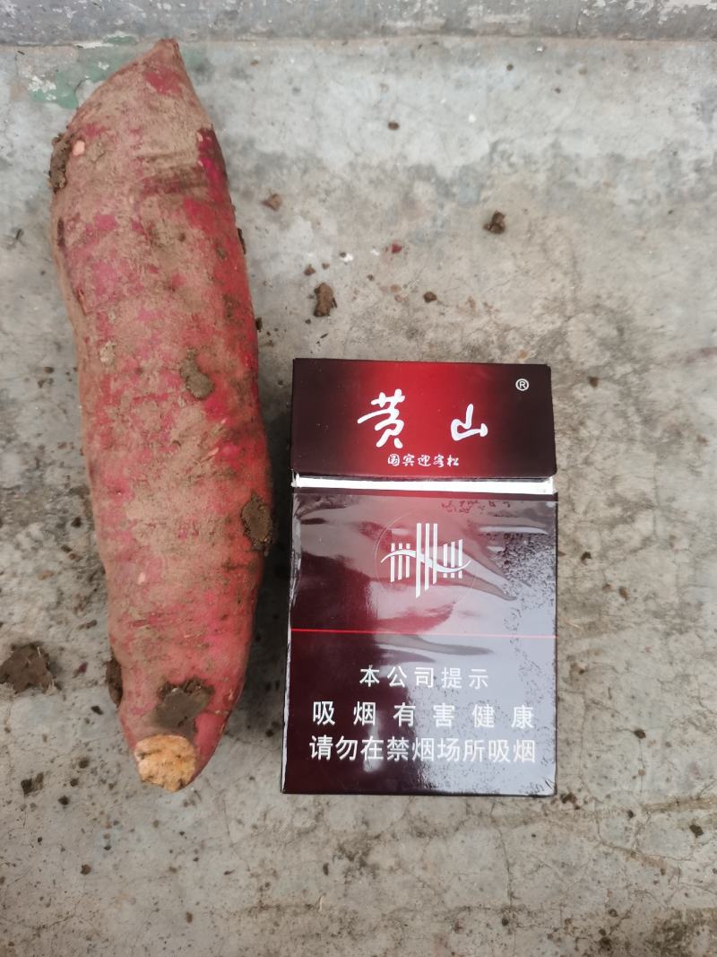 安徽黑土地西瓜红支持各种包装，代发对接各大平台，工厂电商