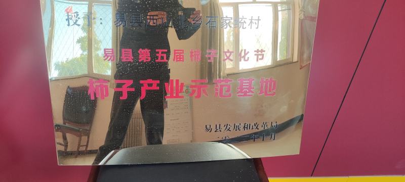 河北保定大量优质磨盘柿，柿子产地直发，可现场看货！