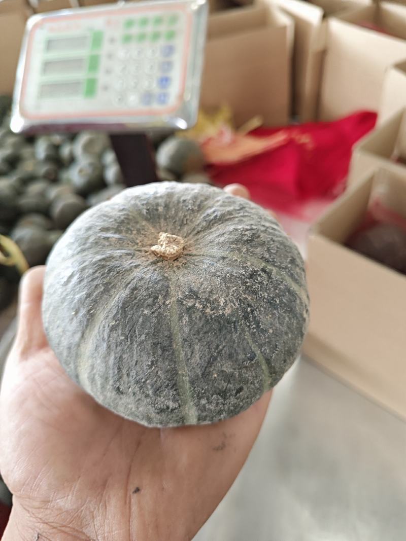 正宗贝贝南瓜，产地直采，粉糯香甜