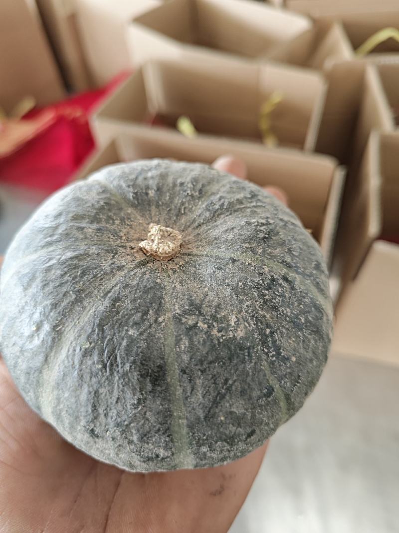 正宗贝贝南瓜，产地直采，粉糯香甜