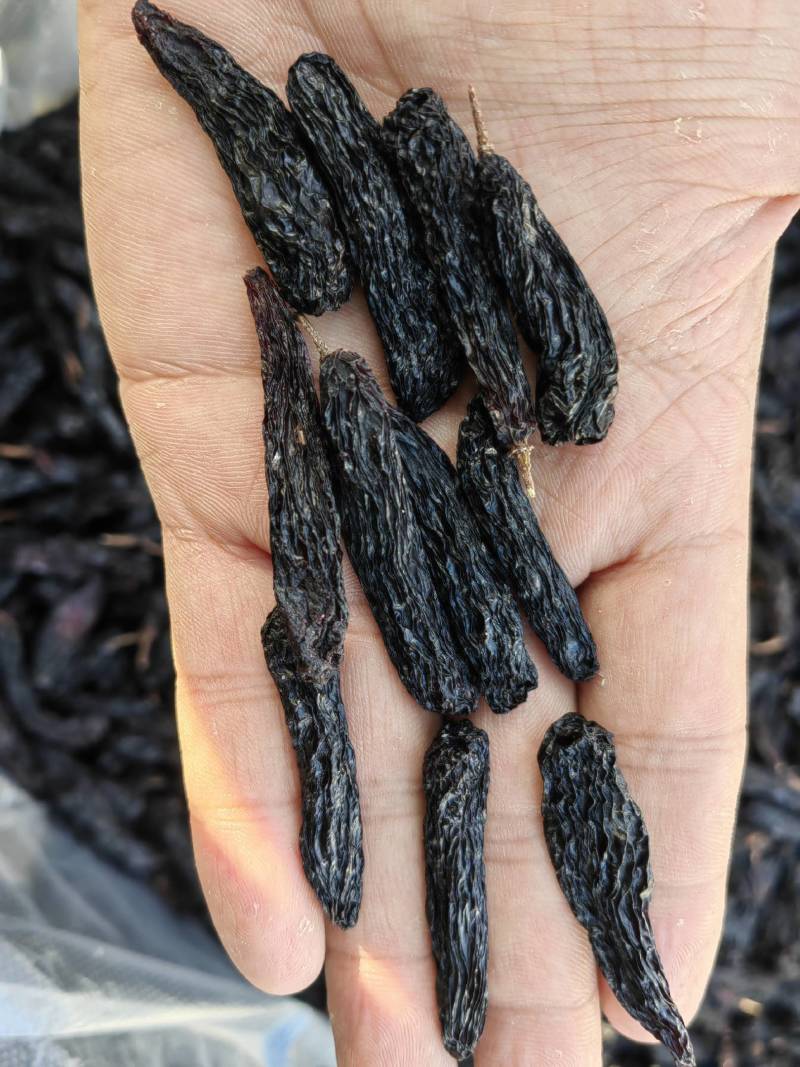 新疆葡萄干，蓝宝石葡萄干，蓝宝石源头葡萄干