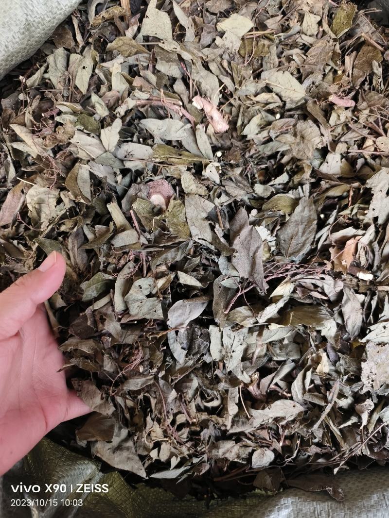 中药材饿蚂蝗保证质量批发零售