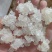 拉丝爆米花雪燕
