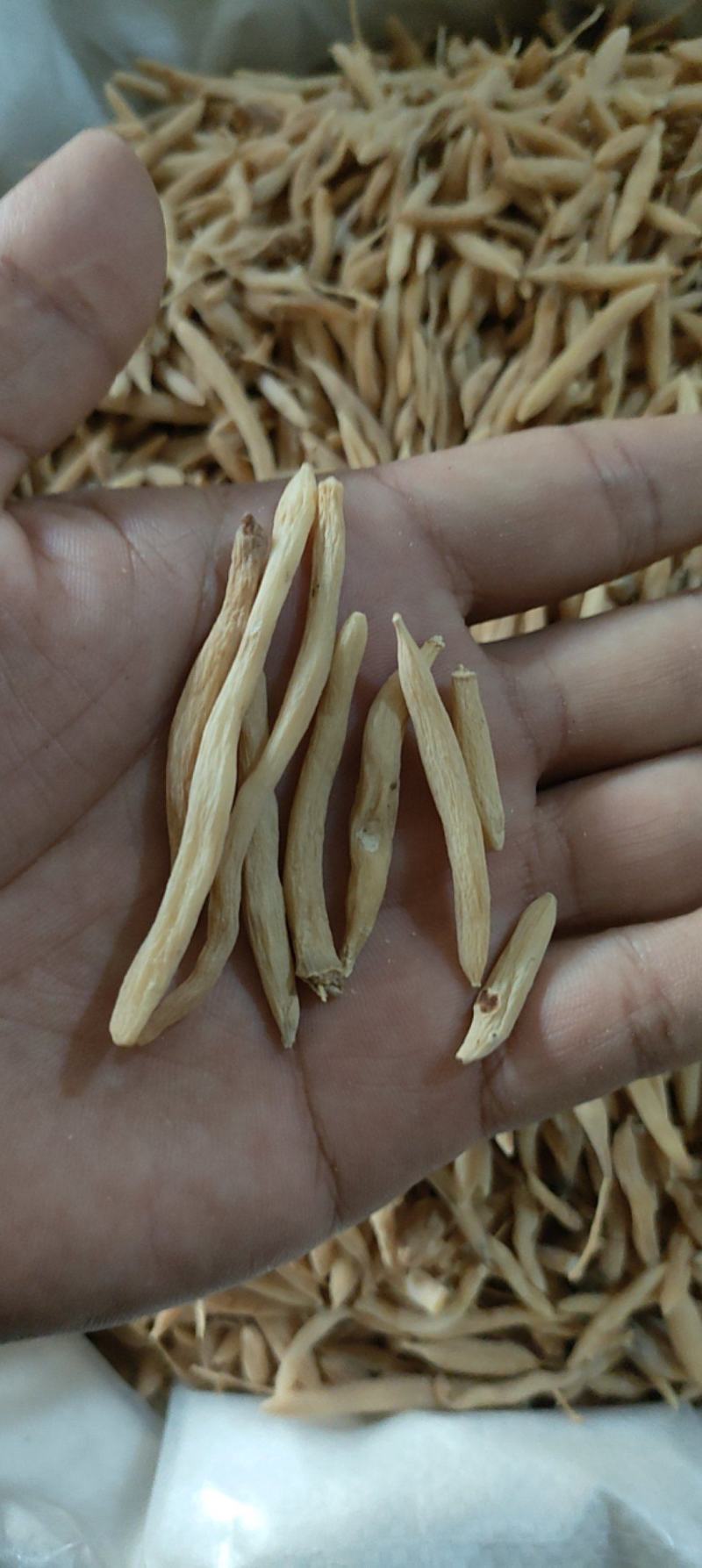 麦冬山东曹县麦冬质量保证