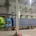 2024晚稻黄花粘，货源充足，供货稳定，大量出售