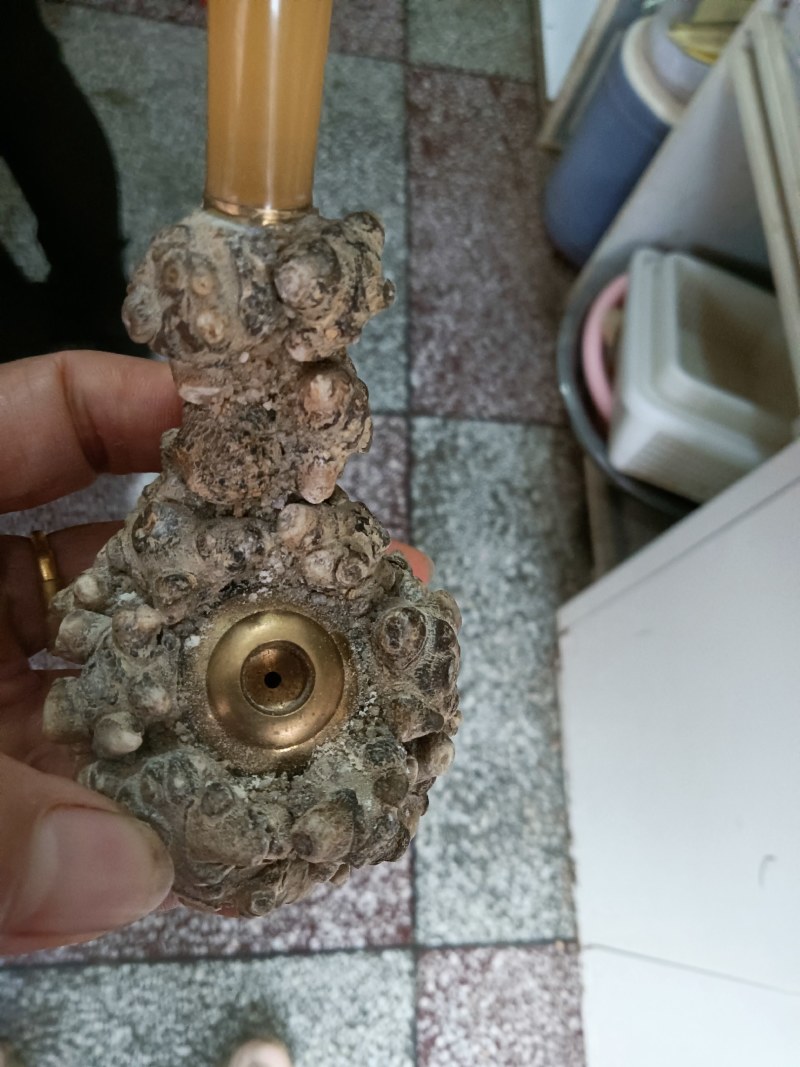 云南文山三七产地一手货源质量保证欢迎来电咨询