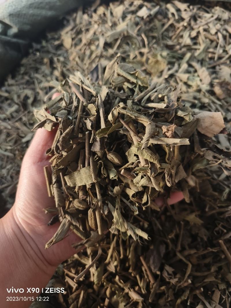 中药材小叶山芝麻山芝麻批发零售保证质量