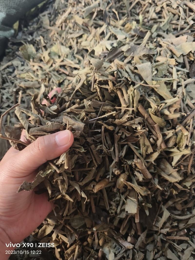 中药材小叶山芝麻山芝麻批发零售保证质量