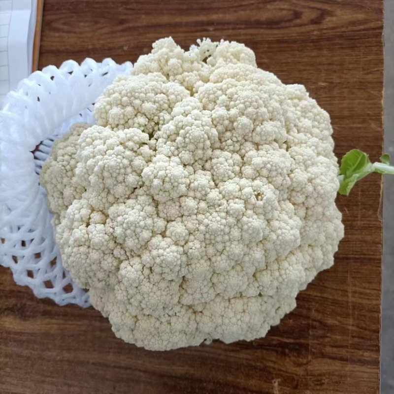 河北邯郸精品菜花，松花菜，小米花，中米花
