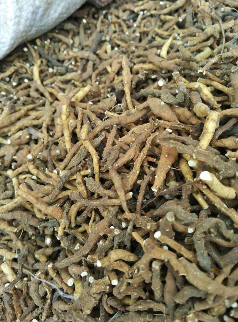 九节菖蒲，水洗，统，产地直发，实拍现货，正品质量保证无硫
