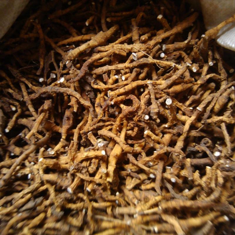 九节菖蒲，水洗，统，产地直发，实拍现货，正品质量保证无硫