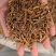 九节菖蒲，水洗，统，产地直发，实拍现货，正品质量保证无硫