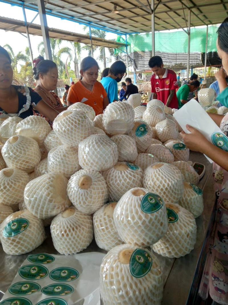 泰国香水椰青厂里直发价格美丽量大更优惠