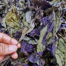 紫苏叶，苏叶，新货无硫产地直发实拍现货质量保证